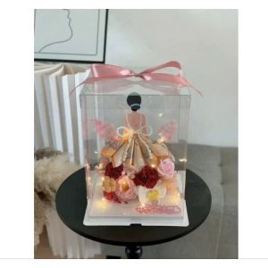 hộp mika ( tặng đèn, thiệp, gim) có cô gái có ống t.i.ề.n