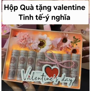 (tặng đèn)Túi Hộp quà cắm sẵn hoa+8 ống nhét t.i.ề.n